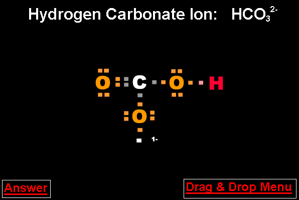 The Correct Answer for the Drag and Drop Bicarbonate Ion Exercise