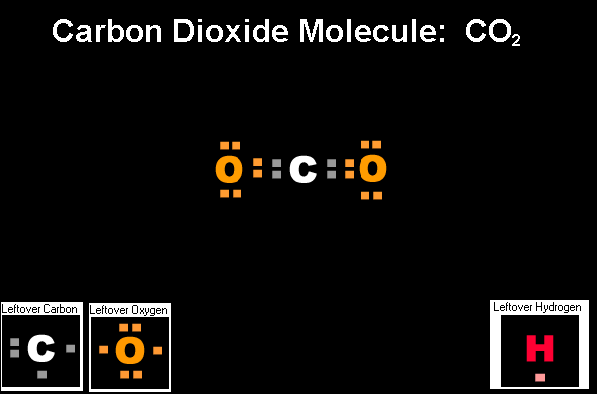 The Correct Answer for the Drag and Drop Carbon Dioxide Exercise