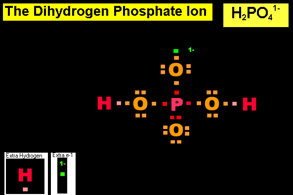 The Correct Answer for the Drag and Drop Dihydrogen Phosphate Exercise