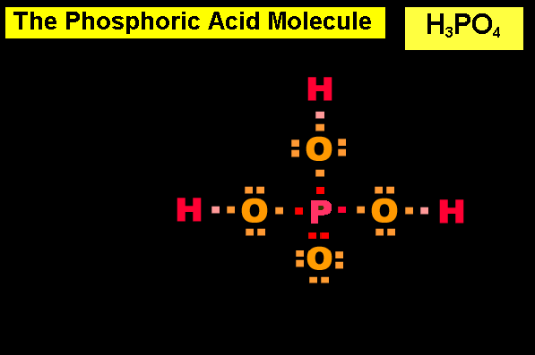 The Correct Answer for the Drag and Drop Phosphoric Acid Molecule Exercise