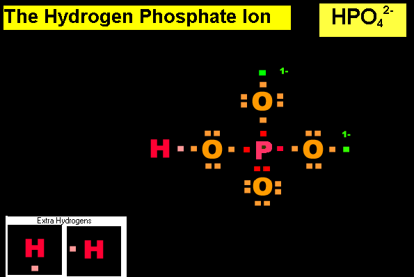 The Correct Answer for the Drag and Drop Hydrogen Phosphate Ion Exercise