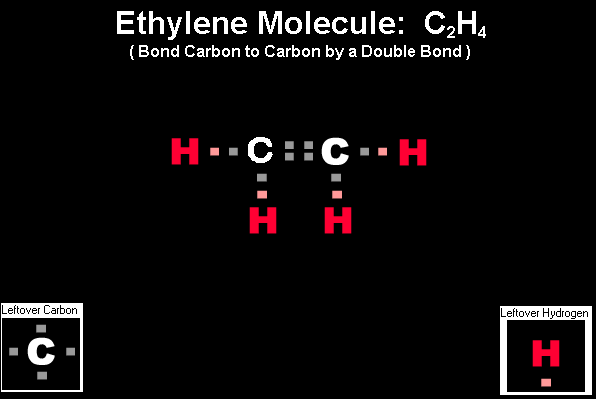 The Correct answer for the Ethylene Drag and Drop Molecule