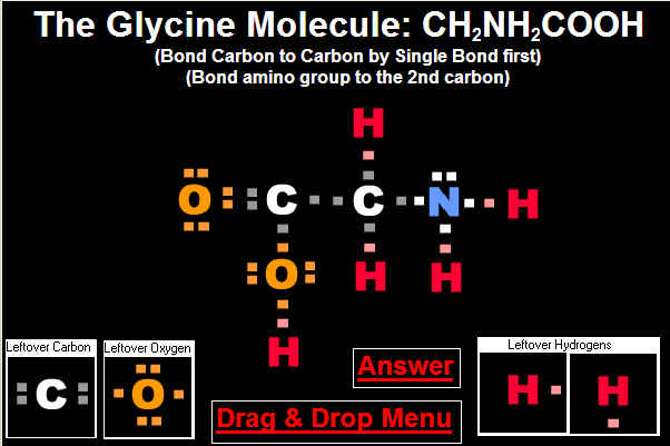 Answer to Glycine Drag and Drop Exercise